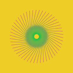 Trip #10 | Rotating Trips