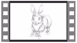 Item #24600310660482288606297797528155087939323639147399647196853483682022213812234 Media