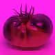 110692649264369377071495627220392981109400302920527361961030166705264532652033