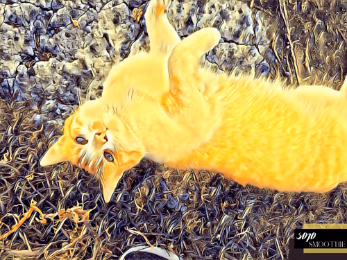 Item #70173555060280459679020221103172679865592931086946583501557978920583943946241 Media