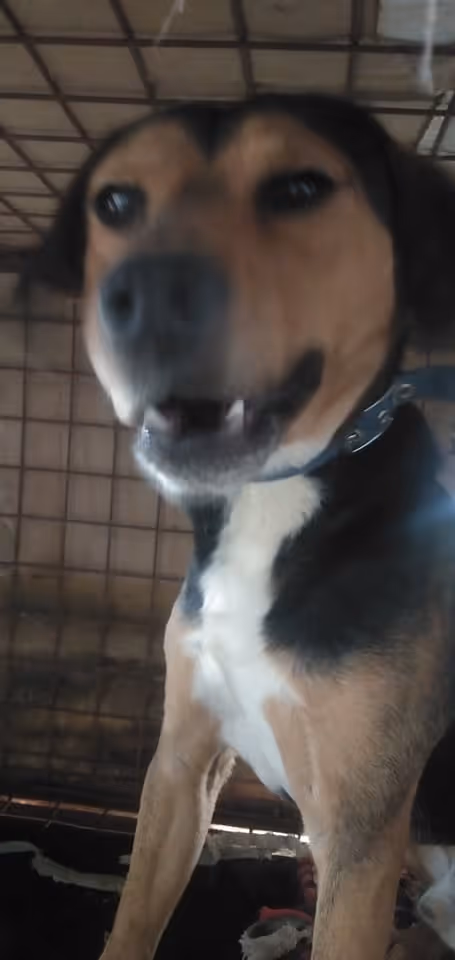 Item #23439807421783349604606688817165201350165750151979961366033252218307130425345 Media