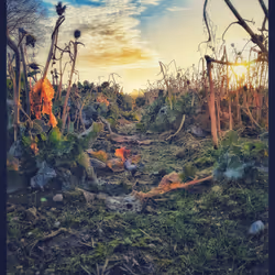 3787080761074609709675817509753112159059746763483256848434353564393477767169