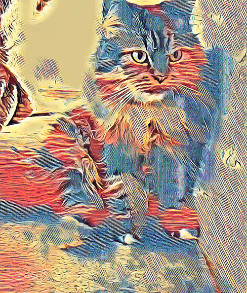 Item #29510731910910609866946623002702956419421614825625903317173568031868890120193 Media