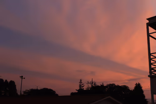 Item #46203775422947331303503035682945161977556730283234746633468375135167633686529 Media