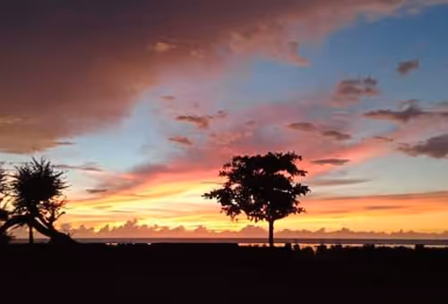 Untitled Collection #45907282