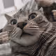 74093295899144126388116425688817559699358238136358073142633755463960865275905