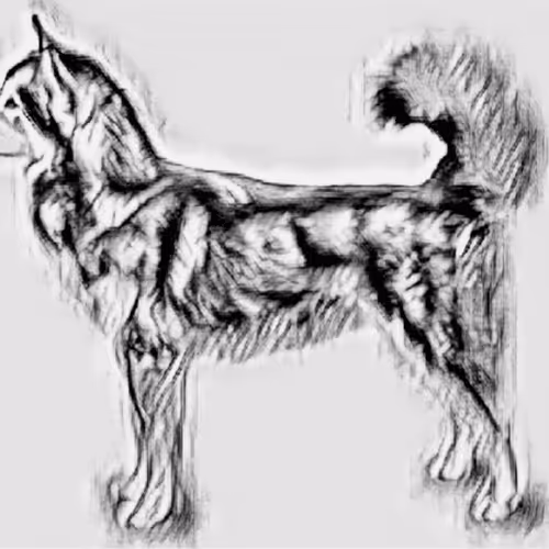 Item #23143313246472061328071561115701105421589606567298838424350448121449778511873 Media