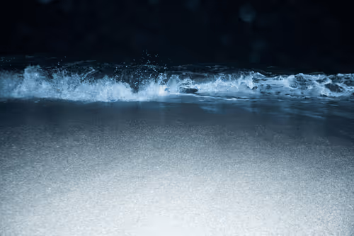 Item #65334289746679534718729475887804441956060191570096093289886828046499098656769 Media