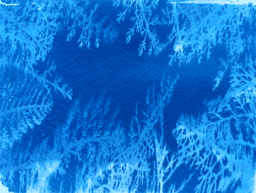 Item #79708962715556691089278777526445721574606898875148265995553784915016881799169 Media