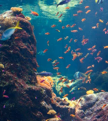 Untitled Collection #209241113