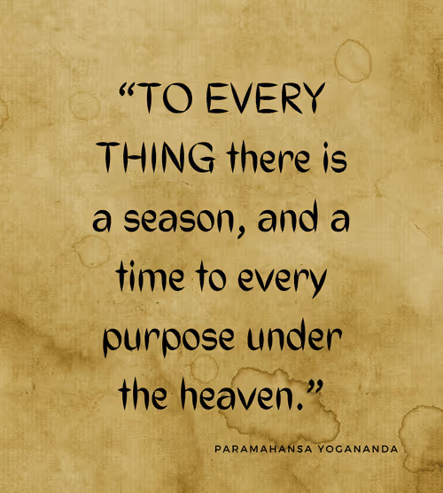 Item #74244561265385560548005883535502276132434054888589550816365993677796916854785 Media