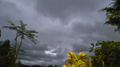 Item #83598511020809395668392107296684727847171301861461078139550822510247800733697 Media