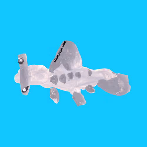 Item #112086143798940202899649567818539899368430544344146534360136516451597486653441 Media