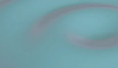 Item #50283807157414899852010782397984059393215776684199850490999103797976815894578 Media