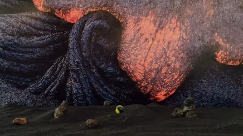 Item #32382354995311206636930955851818118108425029471473268411146207524999313490020 Media