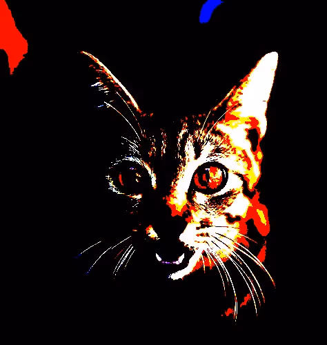 23538819986925566434507765811444276093104658907602947149672917153591928553473