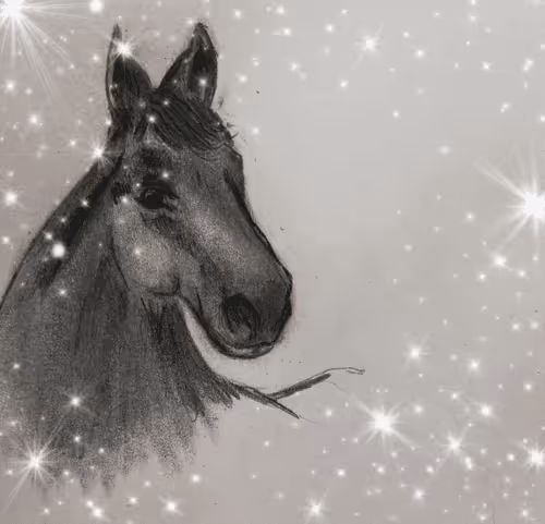 Item #112046021033654007241005822439757220181591102796162182186879993926738304303105 Media