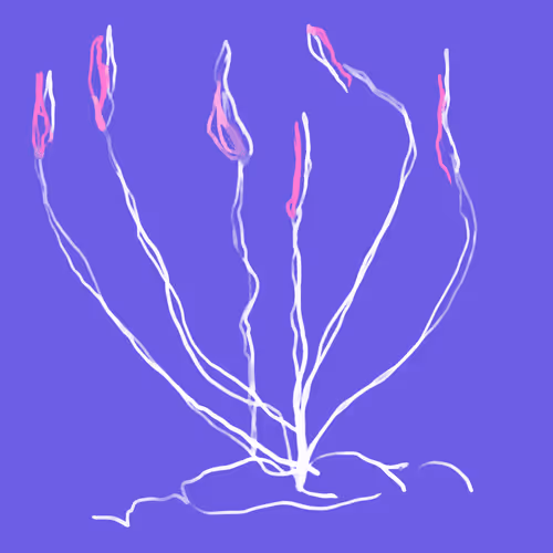 Item #14644956714053790775735979633952916330311291529078626702461221456366931017729 Media