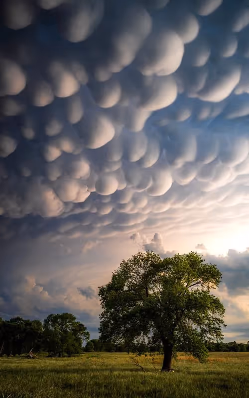 Item #36878996293003159420530988680394500714376917904275382563215545684796305834084 Media