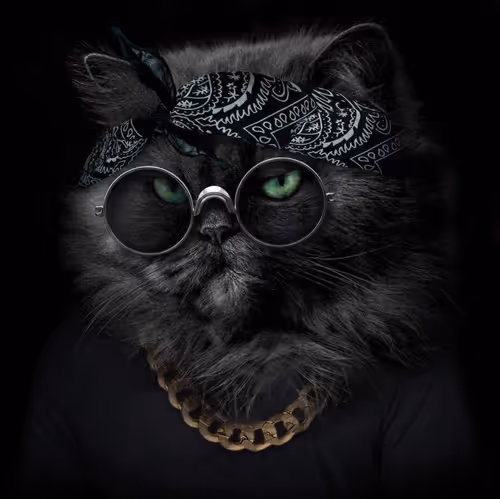 Untitled Collection #139682841