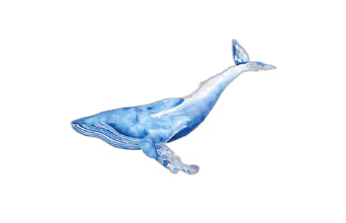 Item #46304094613724871051746606201869162156631433025373697716598318706608108994561 Media