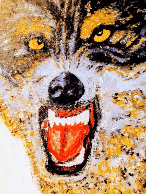 Item #50313157872173577496971624167939776617266702773475144700563858041616493182977 Media