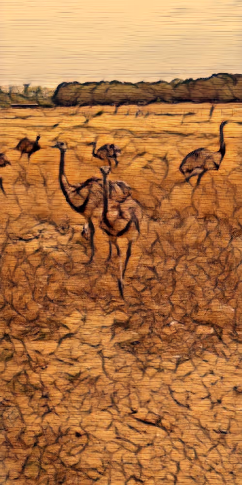 Item #8651498271250357396440676192848533063446167115421124880697921201953264631809 Media