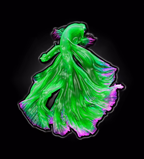 Item #73423654428024661336379470947819889295714855264791127270755008412693376794664 Media