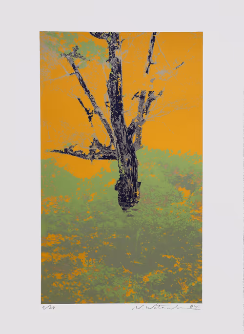 Item #72925079646173943955019179802066495558357068765344184678483369723304041512970 Media