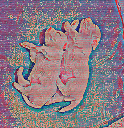 Item #49775347469148338497975615295710857595953595610684904343872467238126088093716 Media