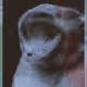 29766715601633112261074778936004247539077885588047069102564176261835139317761
