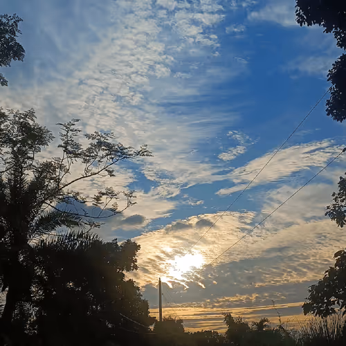 Item #67992331650723614361703023374283579868266072419832795467838943530755928621057 Media