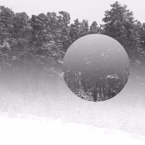 Circle (Exclusive Edition)