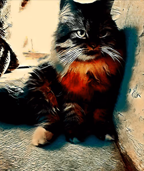 Item #29510731910910609866946623002702956419421614825625903317173568034067913375745 Media