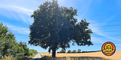 Item #35863194083128256797647772425284652682645032595179500226087347082337991000065 Media