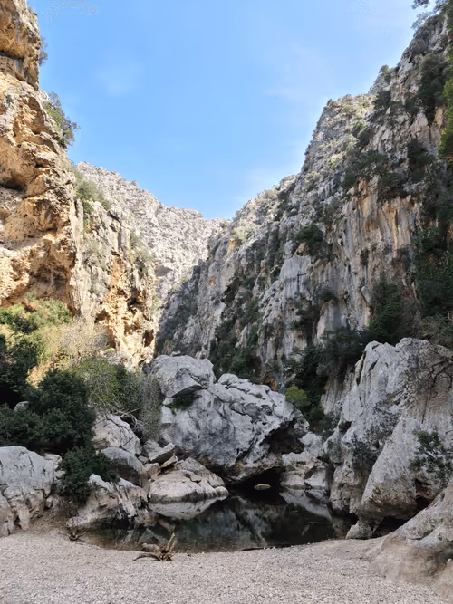 Item #109757676156305388635879862126057466435692101810400145229474898621751183278081 Media