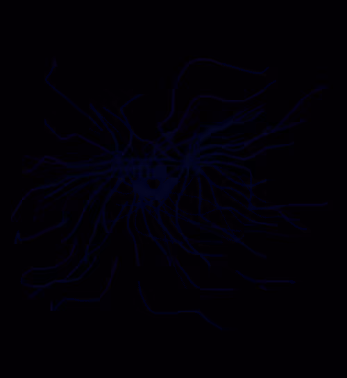 Item #34302039903274114162259285535735646764537707769802582615849036136501729034241 Media