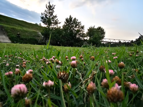 Item #35919042871244573338341443481004100687759546916264477406015230777203726745601 Media