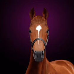 Secretariat