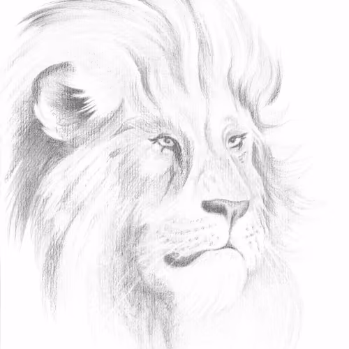 LeoS