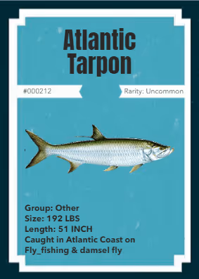 Item #43502264269384842523243150070095810631836830099831581701628992054915525246977 Media