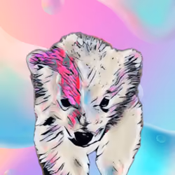 Polar Bear #73