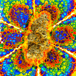 13955282856406335165414100891374623718709547313428947888299033984644113498122