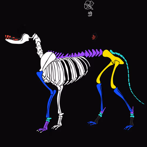 Item #66115251428437251400949335005857765940906863007353817121707627004451499278337 Media