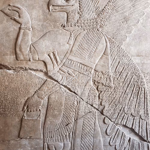 King Eagle