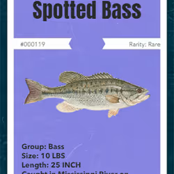 43502264269384842523243150070095810631836830099831581701628991994442385719297