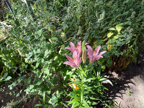 Item #41983459946325006344850038724007157971914249844141491949312563615798510223361 Media