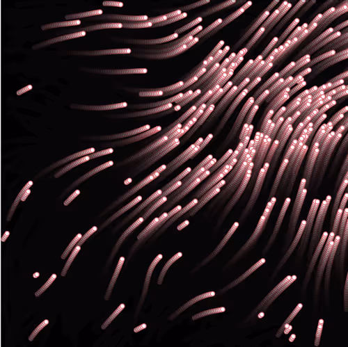 Item #18188641774722569462862161612624599961987570964687117327932822783900103213057 Media