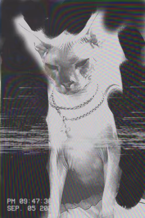 Item #22777017725016447267189535712186364108271002544022421375049282311645541957633 Media