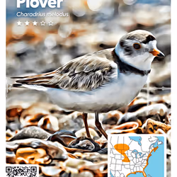 26102390610025884852824728088708208703251930988161684574571712851688208465930